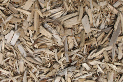 biomass boilers Pettistree
